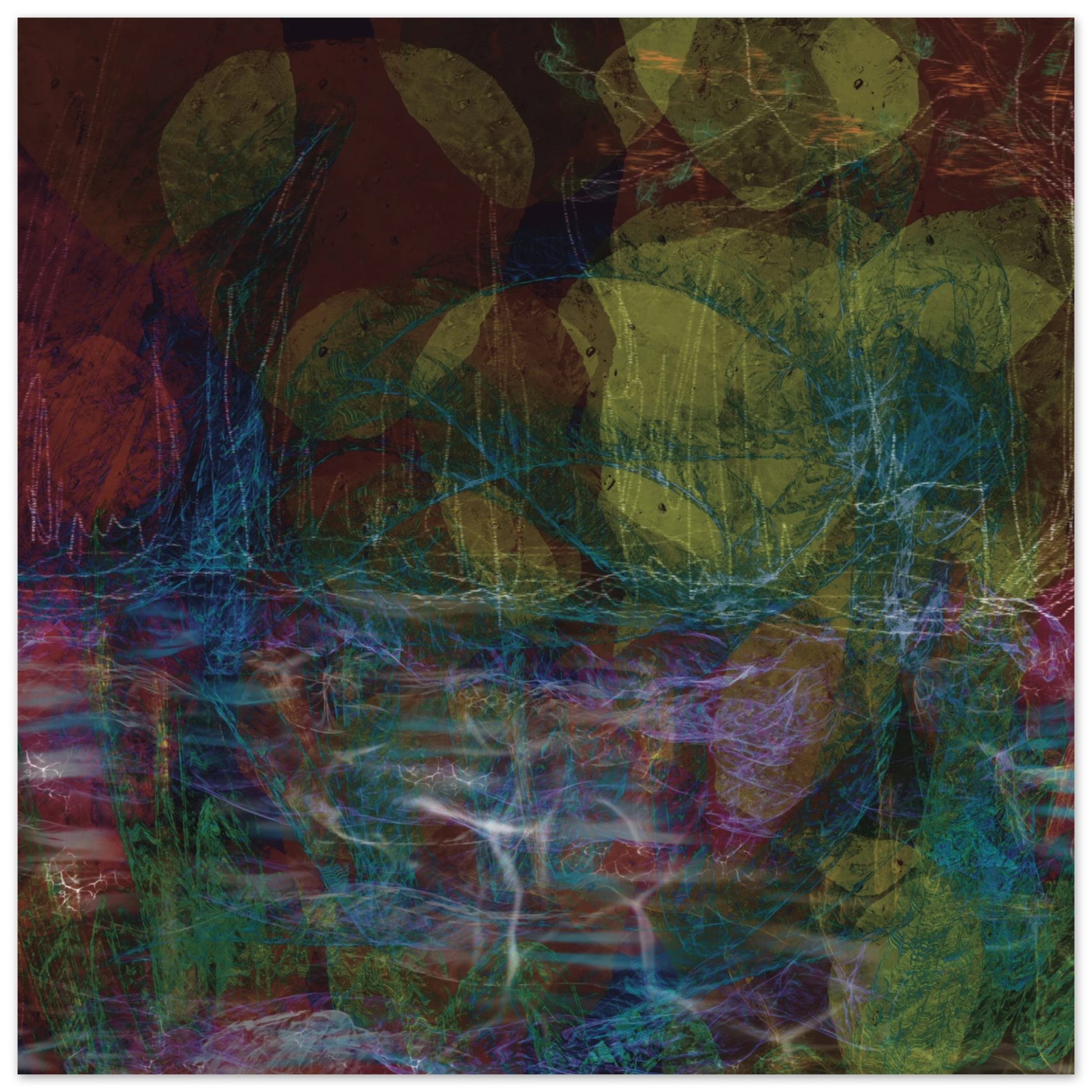 00fc2304-8a22-4102-ba2c-3b950a847590