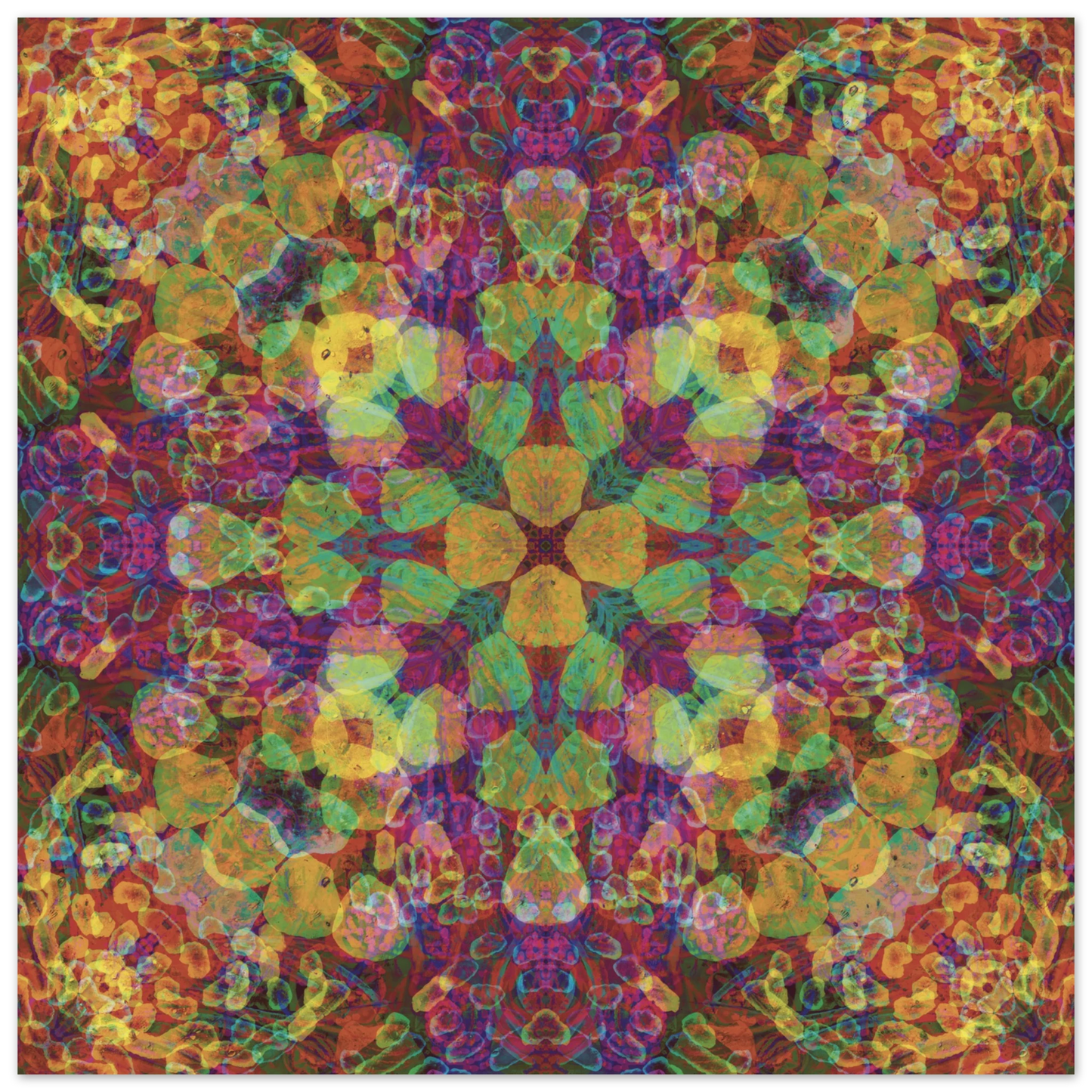 305cd140-e48e-4132-8707-e55dcce88ae2