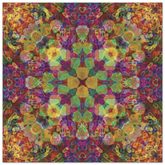 305cd140-e48e-4132-8707-e55dcce88ae2