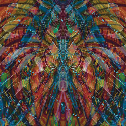 Abstract Digital Art - Cat Tunnel