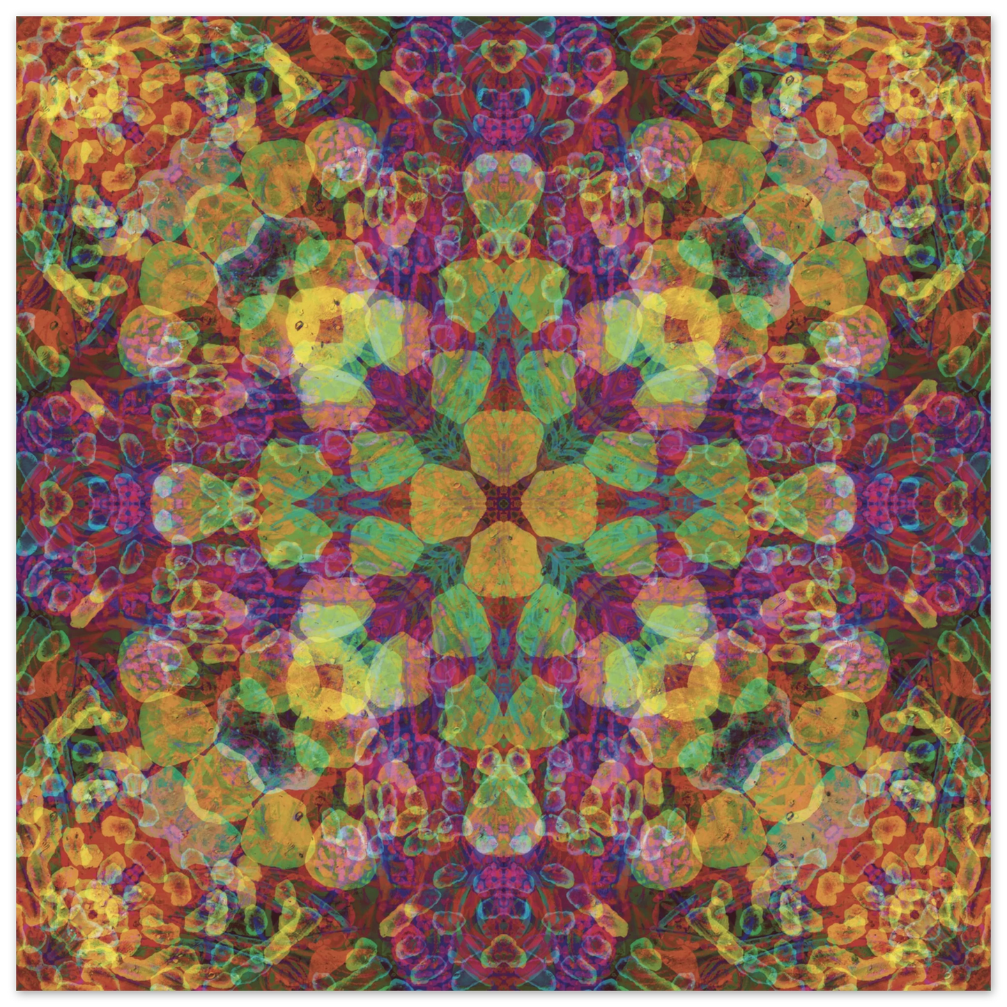 afc1cb34-e154-4833-a410-144bf64ad887