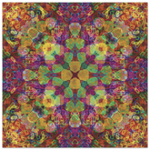 afc1cb34-e154-4833-a410-144bf64ad887