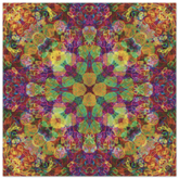f7127876-3745-432a-8350-58b4213f5437